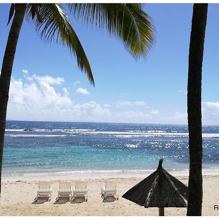 Studio Village Vacances,Vue Mer, Plage A 30M ,Wifi A Sainte Anne Eksteriør billede
