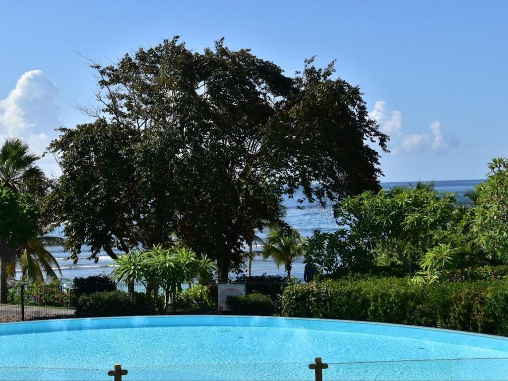 Studio Village Vacances,Vue Mer, Plage A 30M ,Wifi A Sainte Anne Eksteriør billede