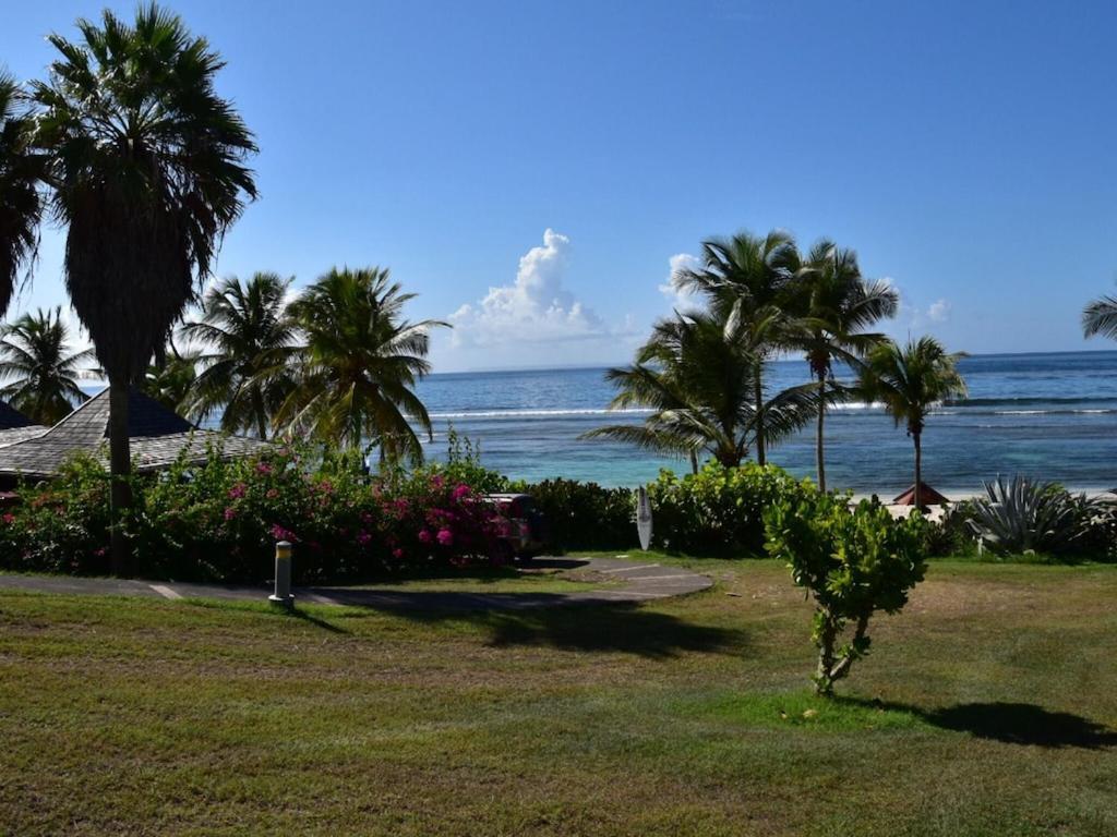 Studio Village Vacances,Vue Mer, Plage A 30M ,Wifi A Sainte Anne Eksteriør billede
