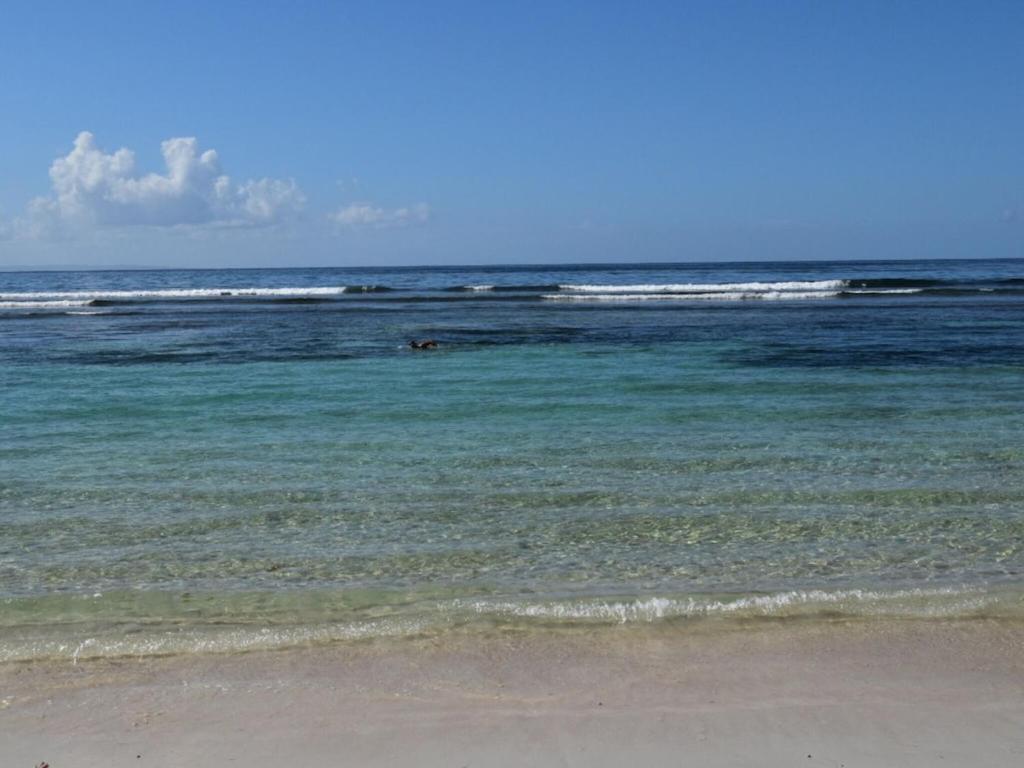 Studio Village Vacances,Vue Mer, Plage A 30M ,Wifi A Sainte Anne Eksteriør billede