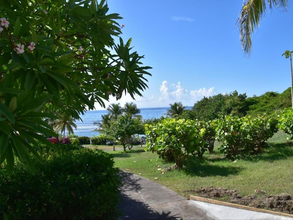 Studio Village Vacances,Vue Mer, Plage A 30M ,Wifi A Sainte Anne Eksteriør billede