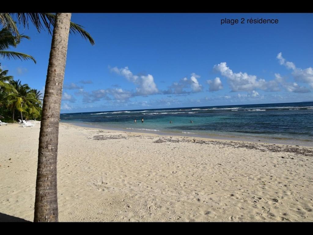 Studio Village Vacances,Vue Mer, Plage A 30M ,Wifi A Sainte Anne Eksteriør billede