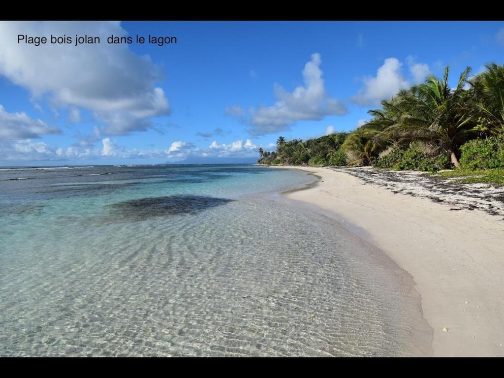 Studio Village Vacances,Vue Mer, Plage A 30M ,Wifi A Sainte Anne Eksteriør billede
