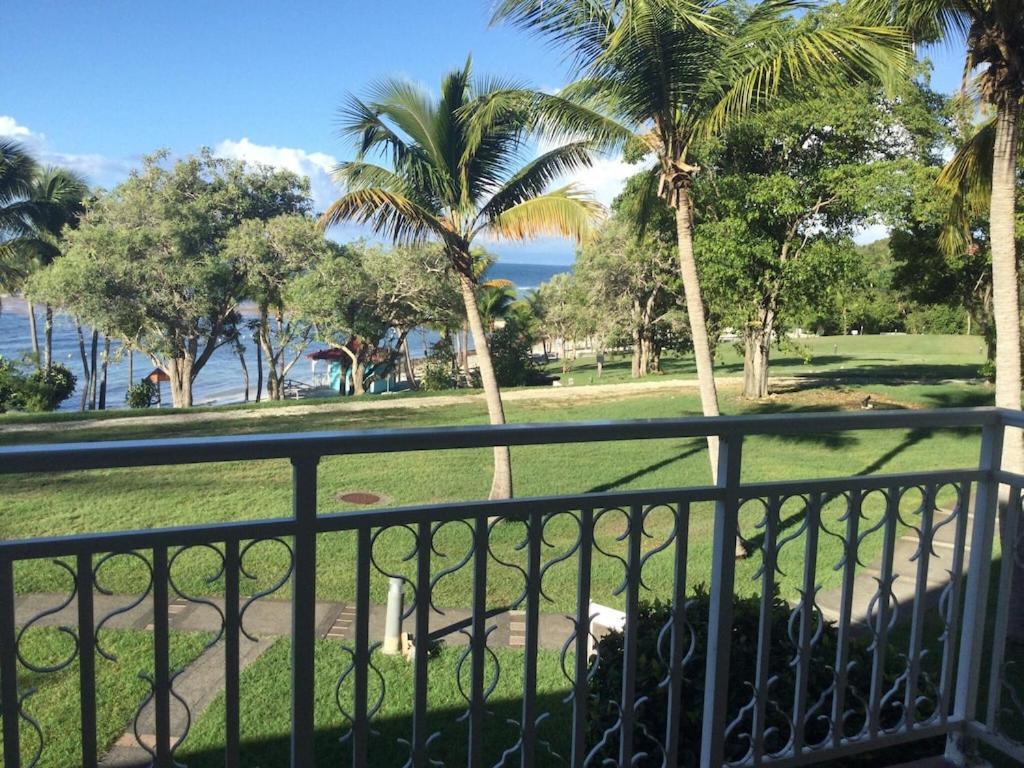 Studio Village Vacances,Vue Mer, Plage A 30M ,Wifi A Sainte Anne Eksteriør billede