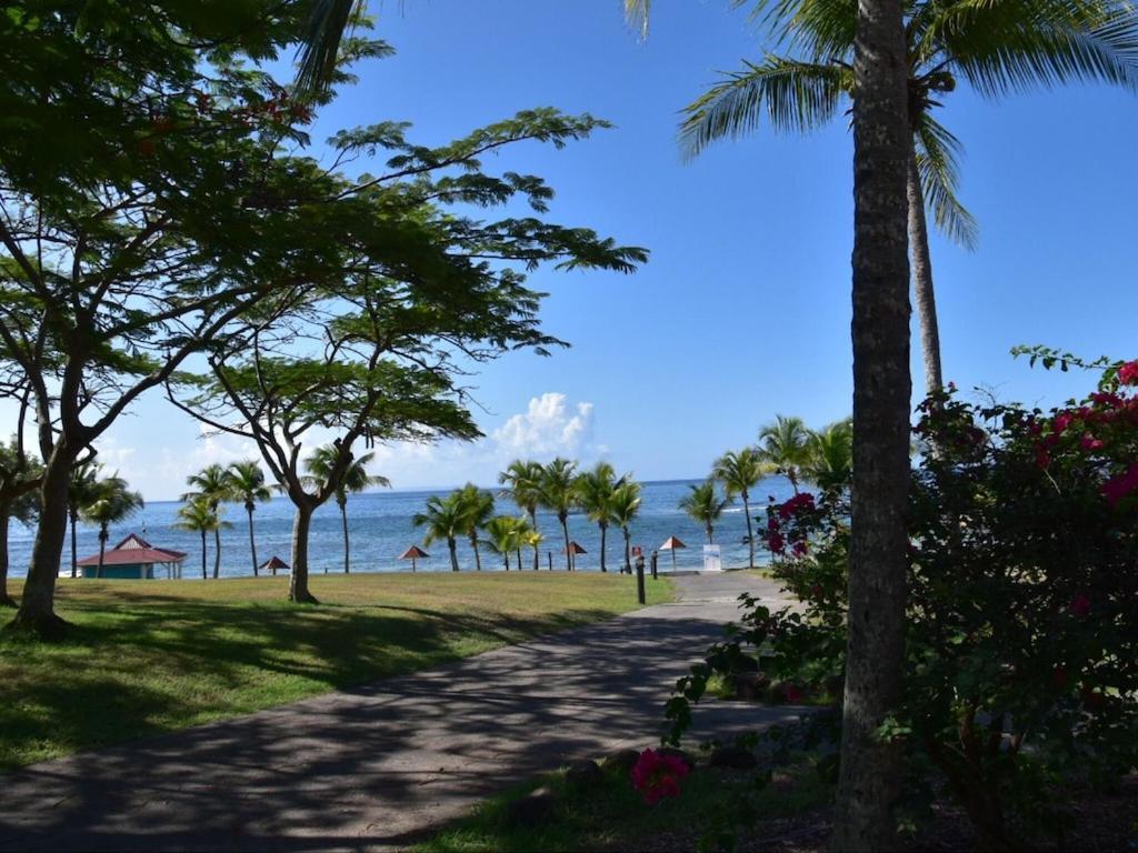 Studio Village Vacances,Vue Mer, Plage A 30M ,Wifi A Sainte Anne Eksteriør billede
